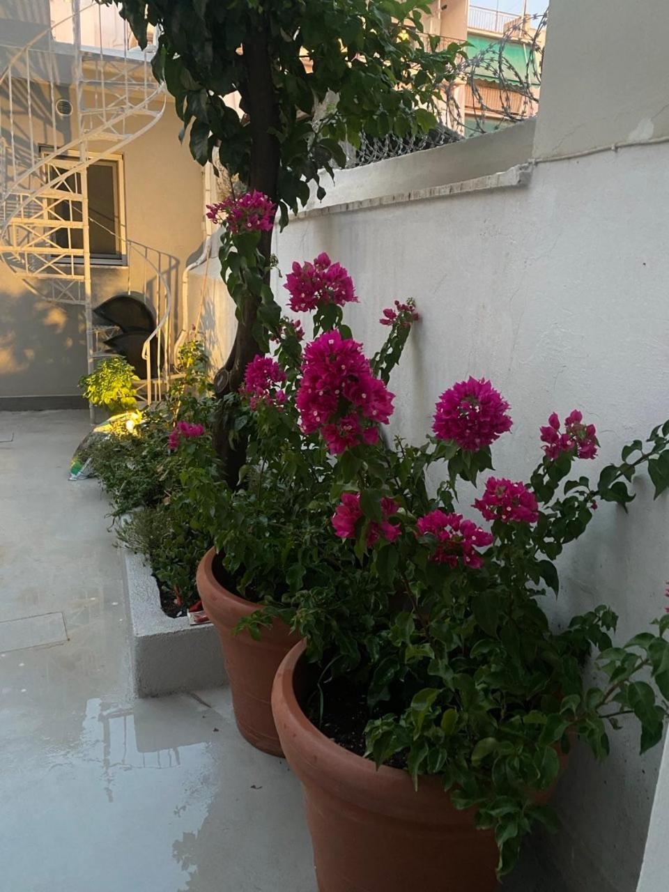 Apartment Alexandra Athens